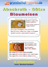 Abschreibsätze_Norddruck_Blaumeisen.pdf